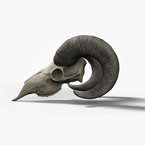 goat skull