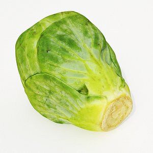 3D brussels sprout