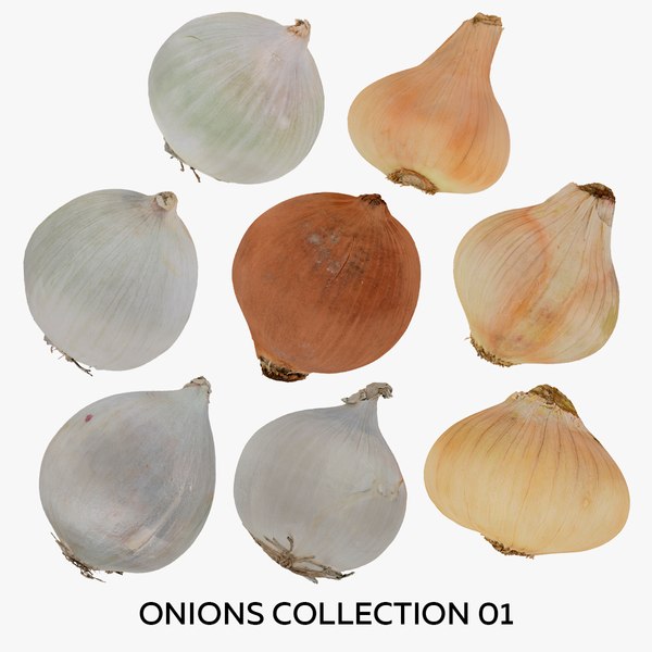 Onions Collection 01 - 8 models RAW Scans 3D