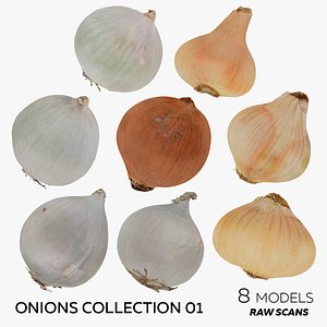 Onions Collection 01 - 8 models RAW Scans 3D