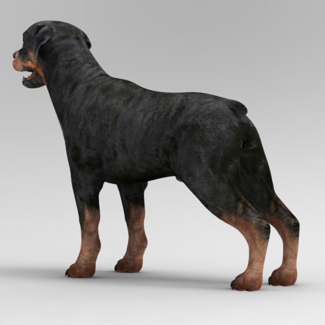 3ds Rottweiler