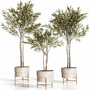 3D Olive trees 3