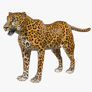 3D Leopard