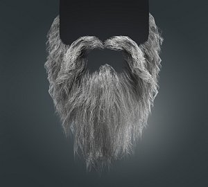 Beard RealTime 20 Version 1 3D model