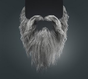 Beard RealTime 20 Version 1