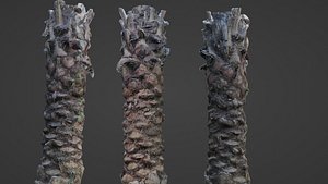 Palm Tree 3D model