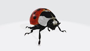 Ladybug Animal 3D Model Ready to Print 3D model