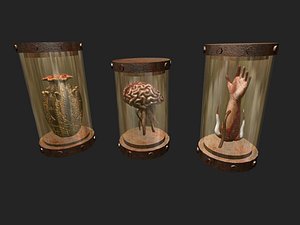 Preserved Specimens in Jars