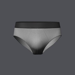 3D Mens Brief 3D Model13421