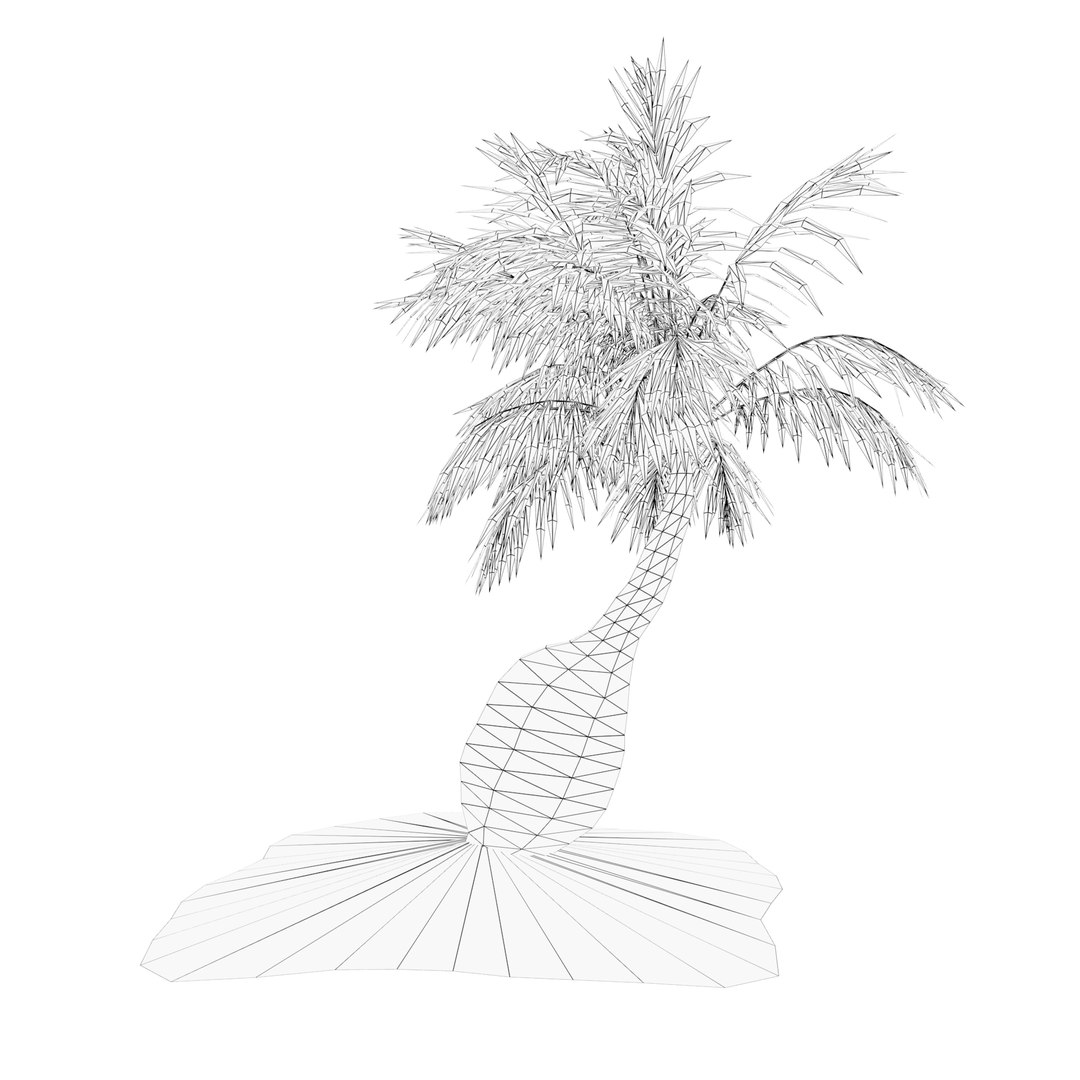 Tropical bottle palm model https://p.turbosquid.com/ts-thumb/4j/gqYirh/42/tree_25_ft_with_soil_wirefrime/jpg/1693680700/1920x1080/fit_q87/99be175c3679a53bfa0dc64c93397d3118d1b963/tree_25_ft_with_soil_wirefrime.jpg