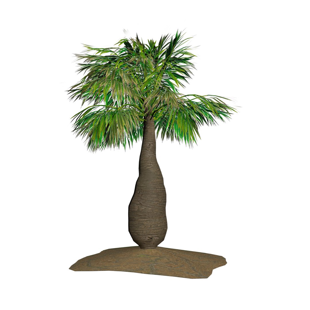 Tropical bottle palm model https://p.turbosquid.com/ts-thumb/4j/gqYirh/Jl/tree_40_ft_with_soil/jpg/1693680703/1920x1080/fit_q87/2fc808b826d85dc1531d2c997306f1031e330f4c/tree_40_ft_with_soil.jpg