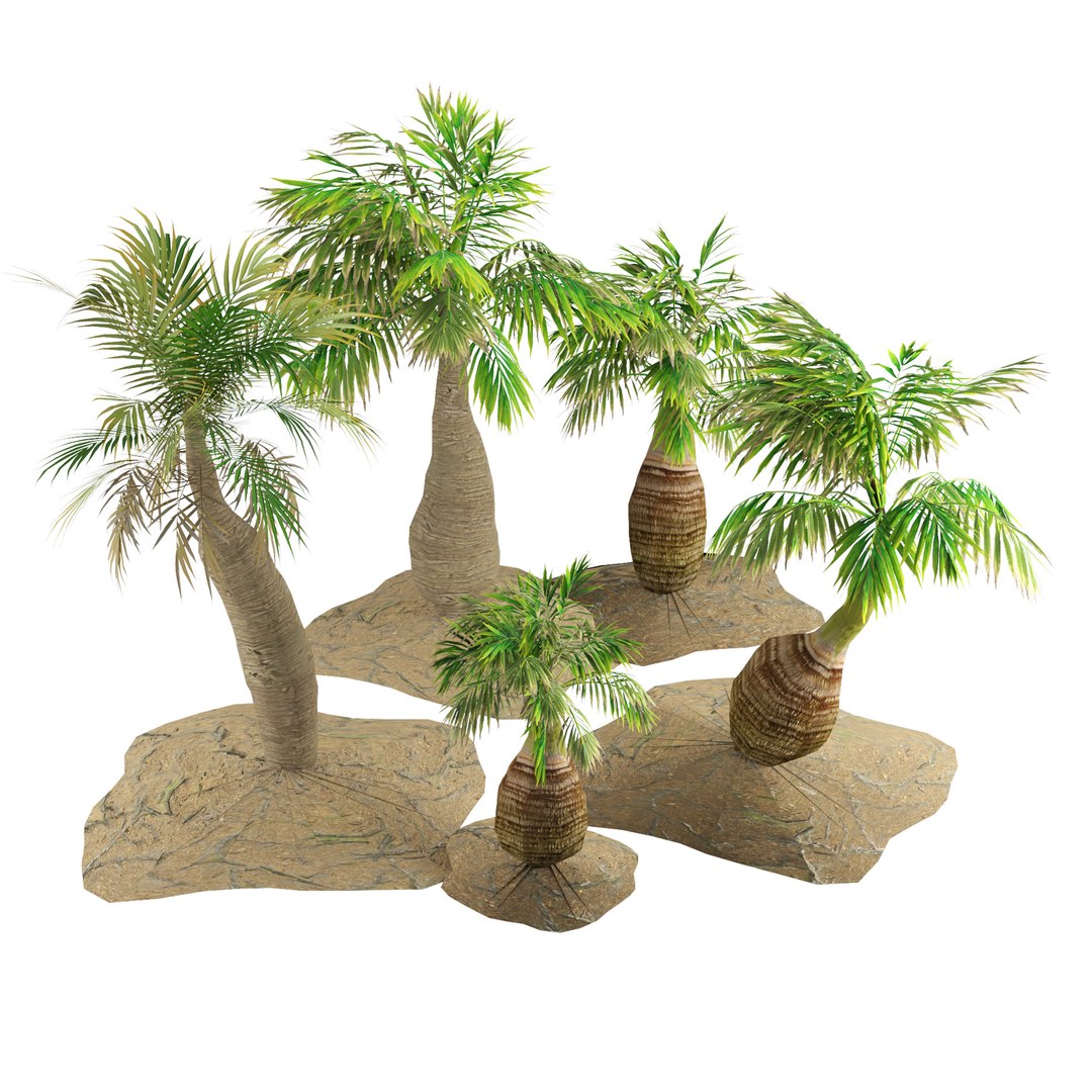 Tropical bottle palm model https://p.turbosquid.com/ts-thumb/4j/gqYirh/R0/z03pp/jpg/1693680696/1920x1080/fit_q87/80172f2d43719defecf106ebab0b148360e4622a/z03pp.jpg