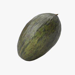 green melon 3D model