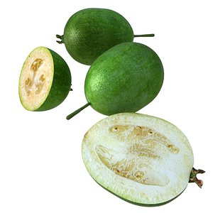 3D model fruits
