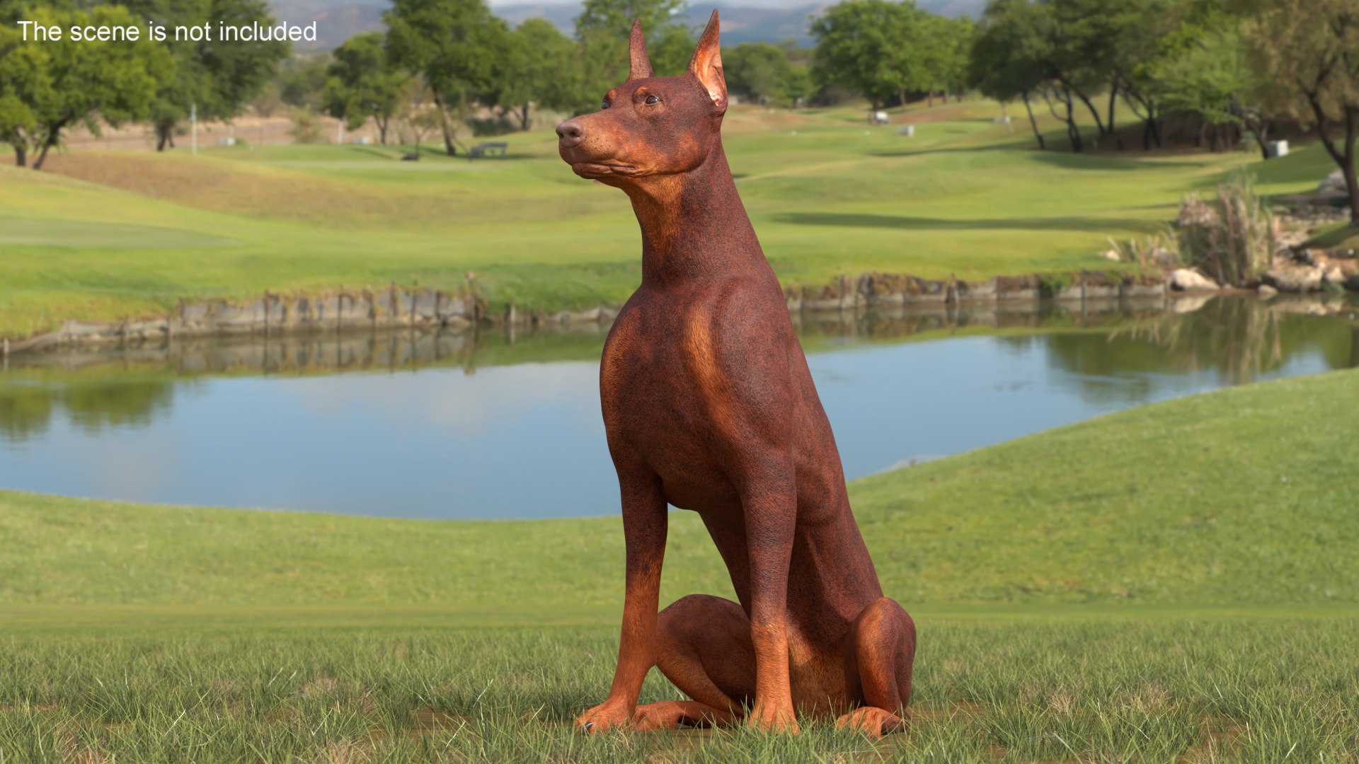 3D Model Doberman Dog Brown Sits - TurboSquid 2232755