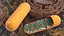 Mitochondrion Cross Section Structure Brown