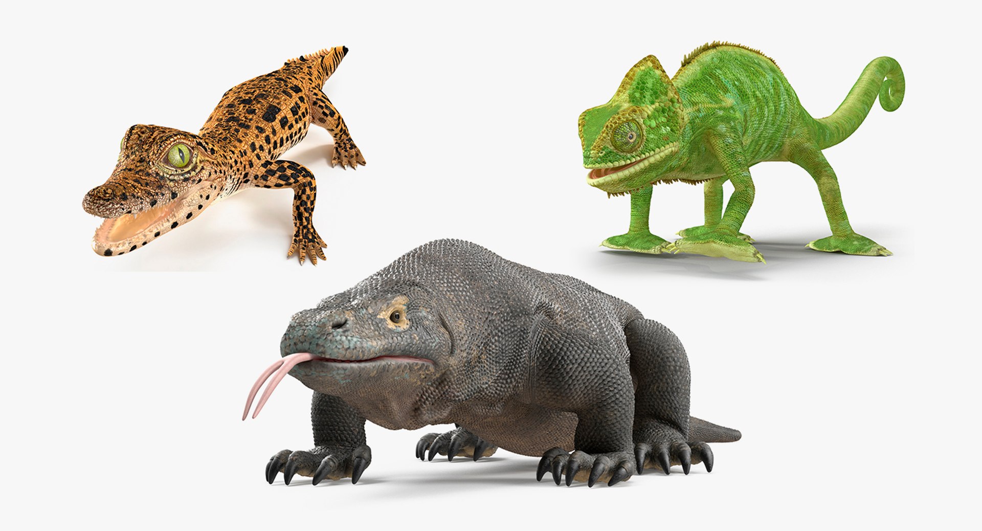 3D Rigged Reptiles Collection For Maya - TurboSquid 2267527