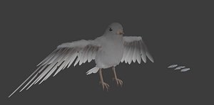 bird feathers small 3D