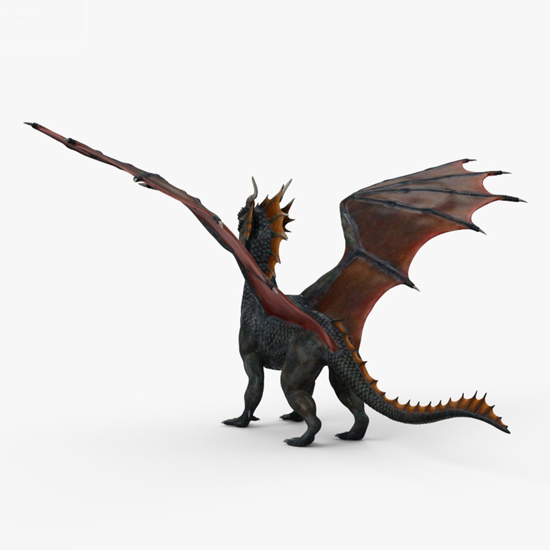 360 view of European Dragon 3D model - 3DModels store