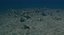 Sea Floor