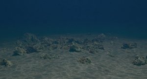 sea floor 3D model
