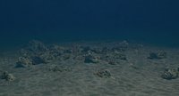 Sea Floor