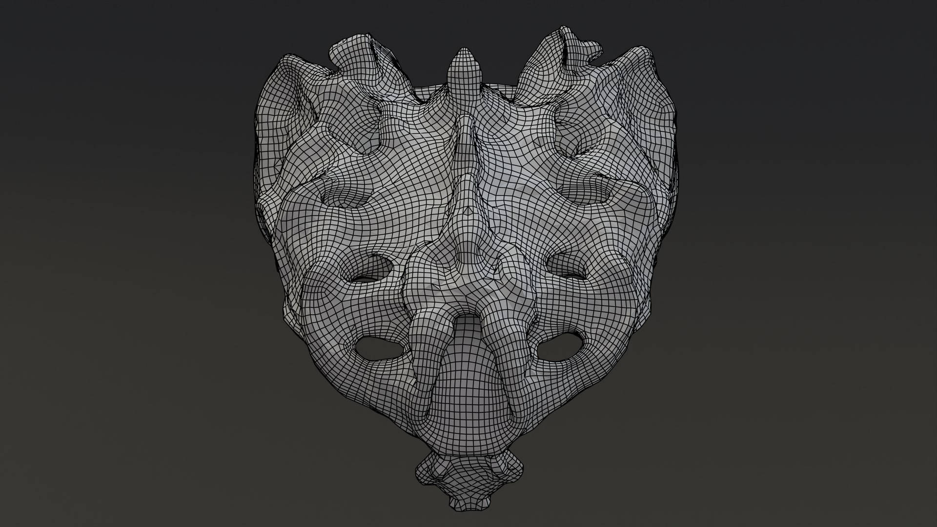 Sacrum - human female 3D https://p.turbosquid.com/ts-thumb/4k/LxORvn/wt/wireframeposteriorsacrum/png/1635503714/1920x1080/fit_q87/11c281aad469dd54b72518bb480c9350aa2a41cd/wireframeposteriorsacrum.jpg