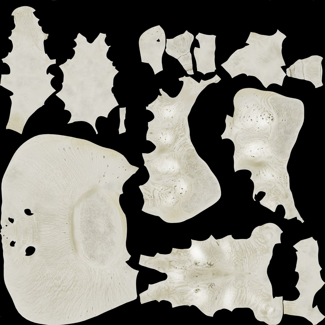 Sacrum - human female 3D https://p.turbosquid.com/ts-thumb/4k/LxORvn/x2/sacrumtxtr/jpg/1635503869/1920x1080/fit_q87/ee82666dba250a8a78db8650e7bf6ad41f4742e0/sacrumtxtr.jpg