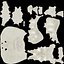Sacrum - human female