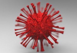 corona virus 3D model