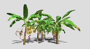 Banana plants for 3d printing 3D