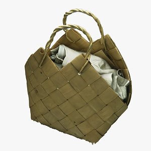 3D Bag 55