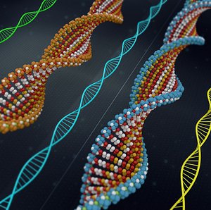 DNA