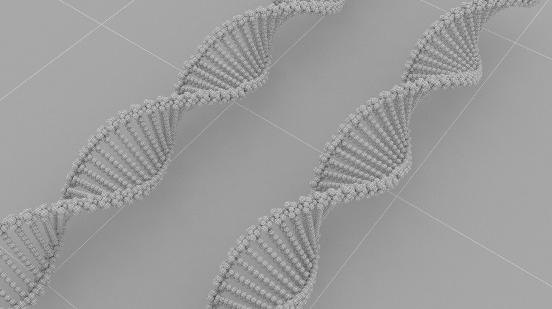 Human Dna Max