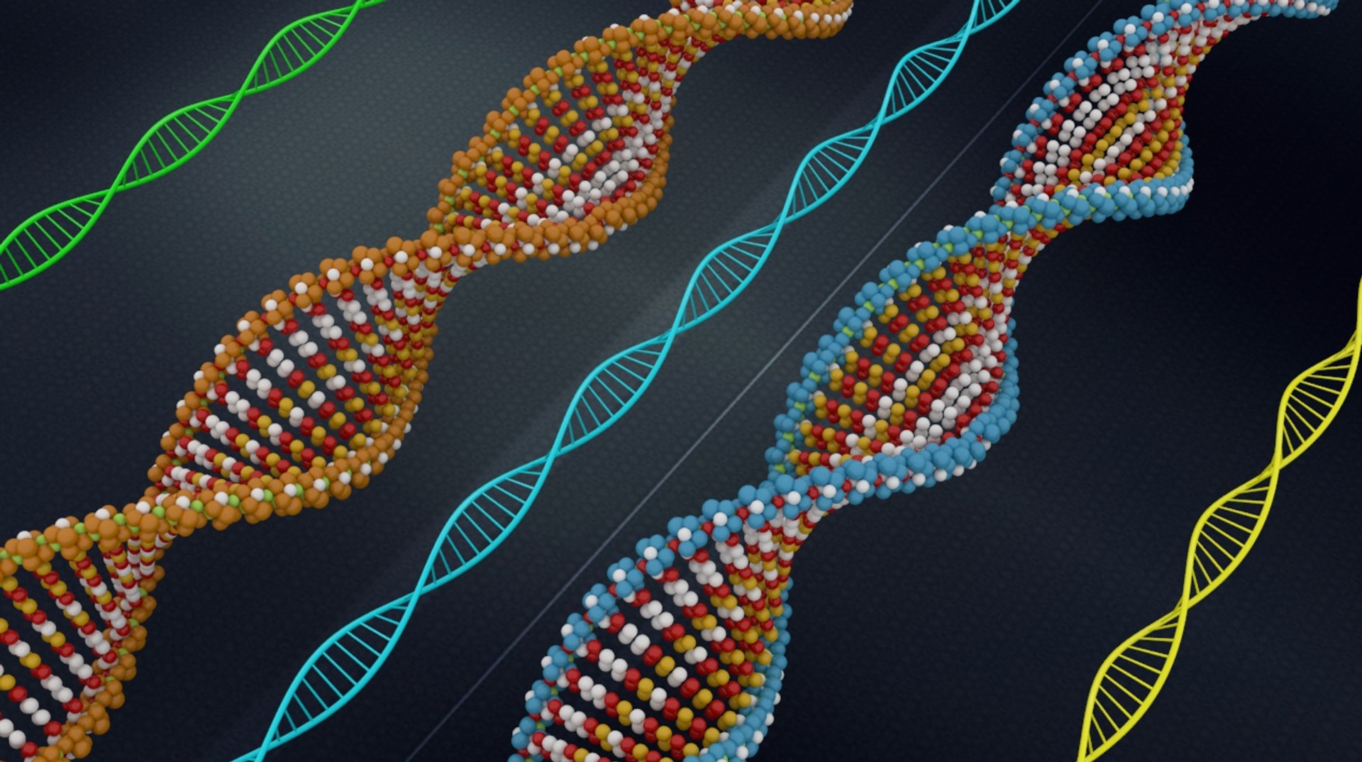 max genome