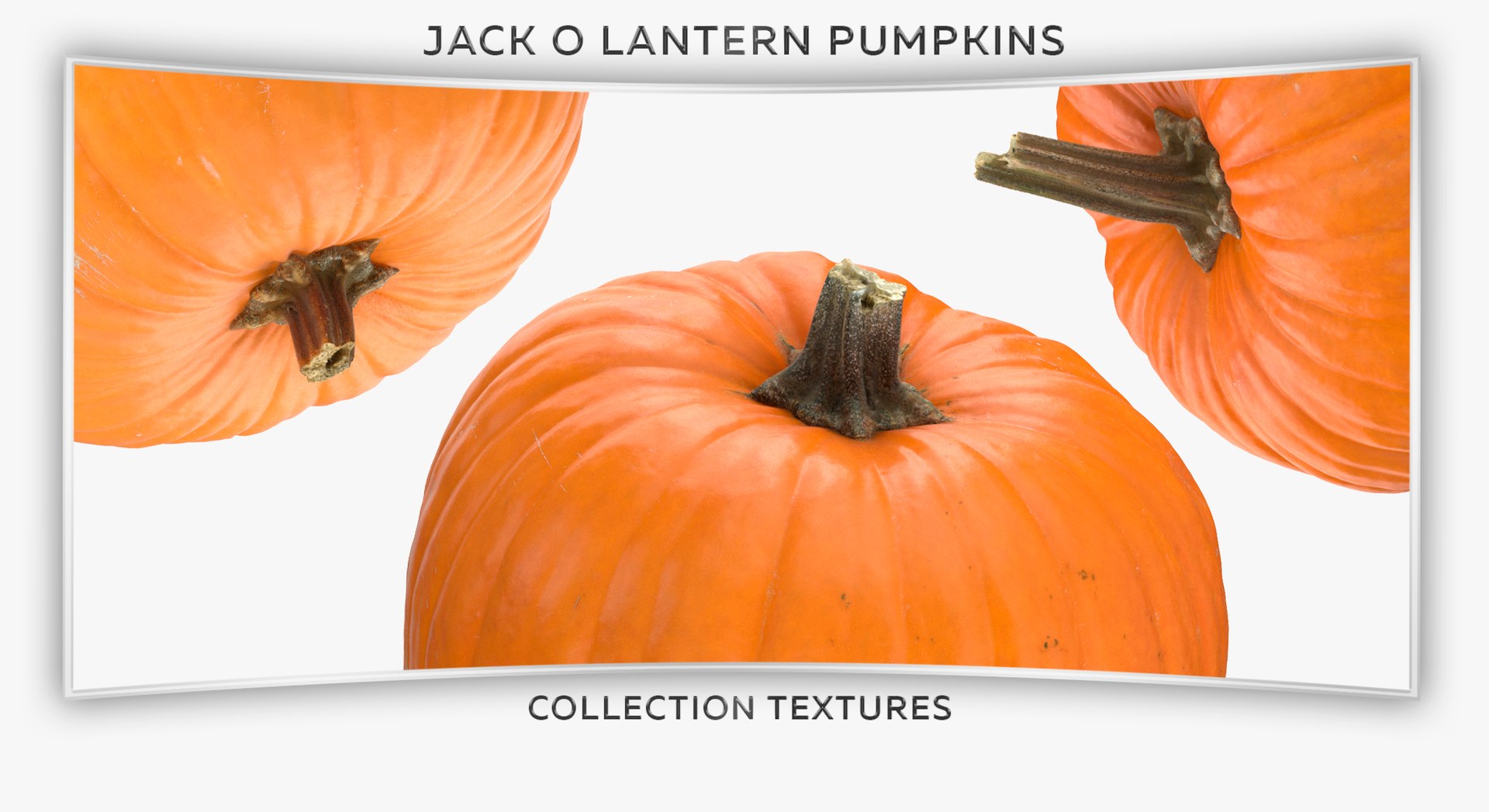 3D Jack o Latern Pumpkins Collection 01 - 5 models https://p.turbosquid.com/ts-thumb/4k/gqM6WY/Bb/28t/jpg/1635503207/1920x1080/fit_q87/81669067742d9b27dacf4e5a6ddf108be98c38c7/28t.jpg