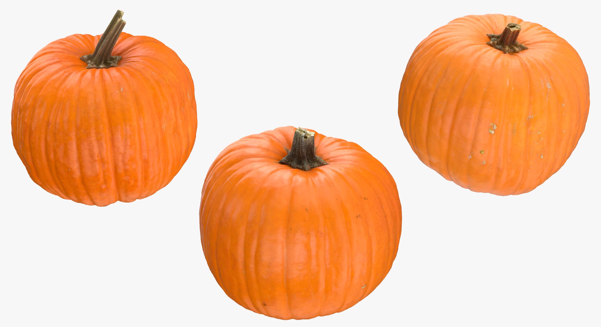 3D Jack o Latern Pumpkins Collection 01 - 5 models https://p.turbosquid.com/ts-thumb/4k/gqM6WY/gO/30b/jpg/1635503193/1920x1080/fit_q87/9942792360fd1bede817121e8677f3591c51566b/30b.jpg