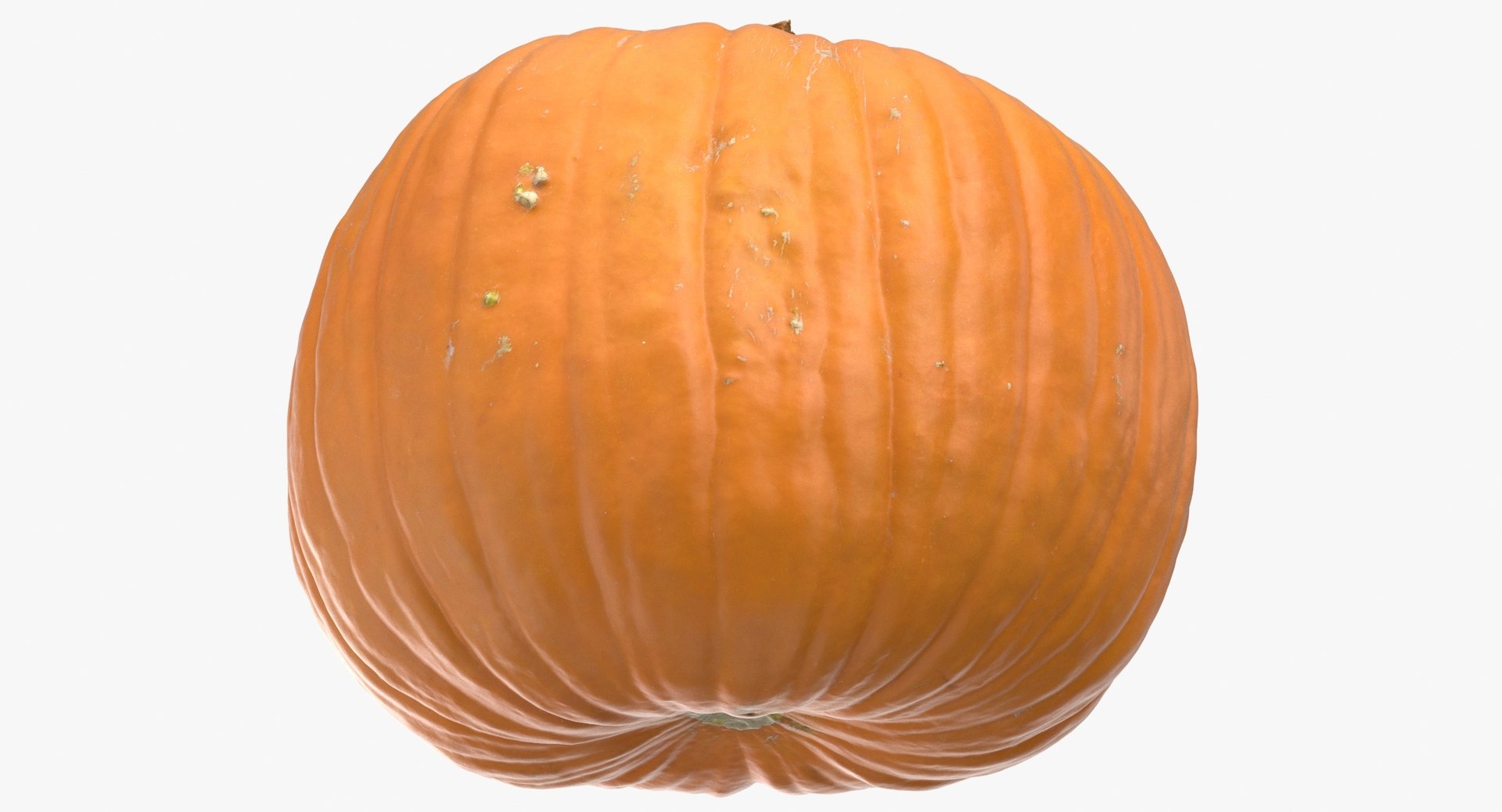 3D Jack o Latern Pumpkins Collection 01 - 5 models https://p.turbosquid.com/ts-thumb/4k/gqM6WY/lt/jack_o_lantern_pumpkin_02_thumbnail_0007.jpg18a16ddcb36d45d39b78713b70f750b6zoom/jpg/1635503197/1920x1080/fit_q87/bf356d5d6e6ac3439dcb1c53aa6a4b9dd0283293/jack_o_lantern_pumpkin_02_thumbnail_0007.jpg18a16ddcb36d45d39b78713b70f750b6zoom.jpg
