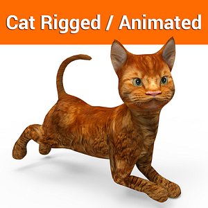 3D cat rigged animation