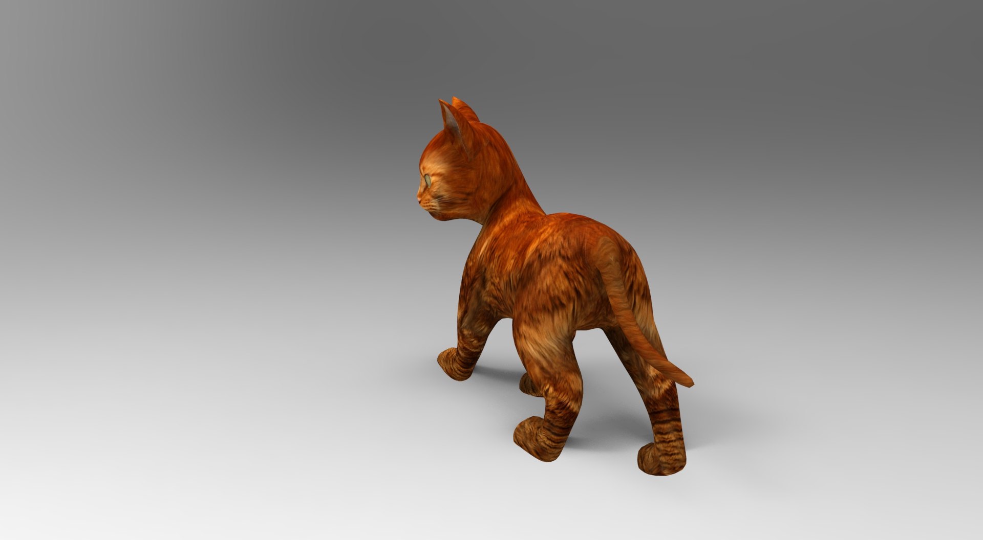 3D Cat Rigged Animation - TurboSquid 1204595
