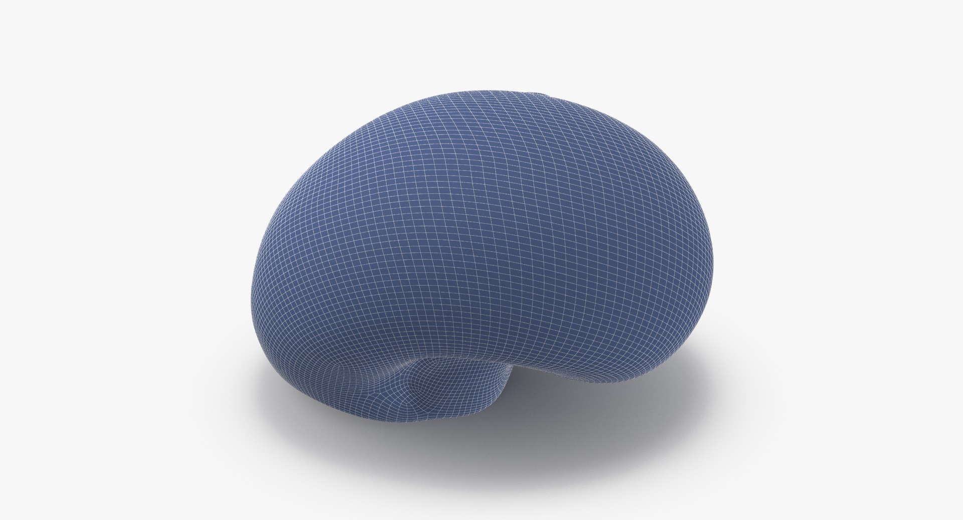 sharkeye moon shell max https://p.turbosquid.com/ts-thumb/4k/o6bhtm/57JMv7sc/sharkeye_moon_shell_002_wireframe_0003/jpg/1479990779/1920x1080/fit_q87/ac96d61073f763eea41b45a15522c45bb011d98b/sharkeye_moon_shell_002_wireframe_0003.jpg
