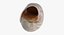Sharkeye Moon Shell