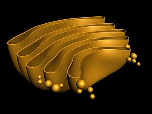 golgi.max