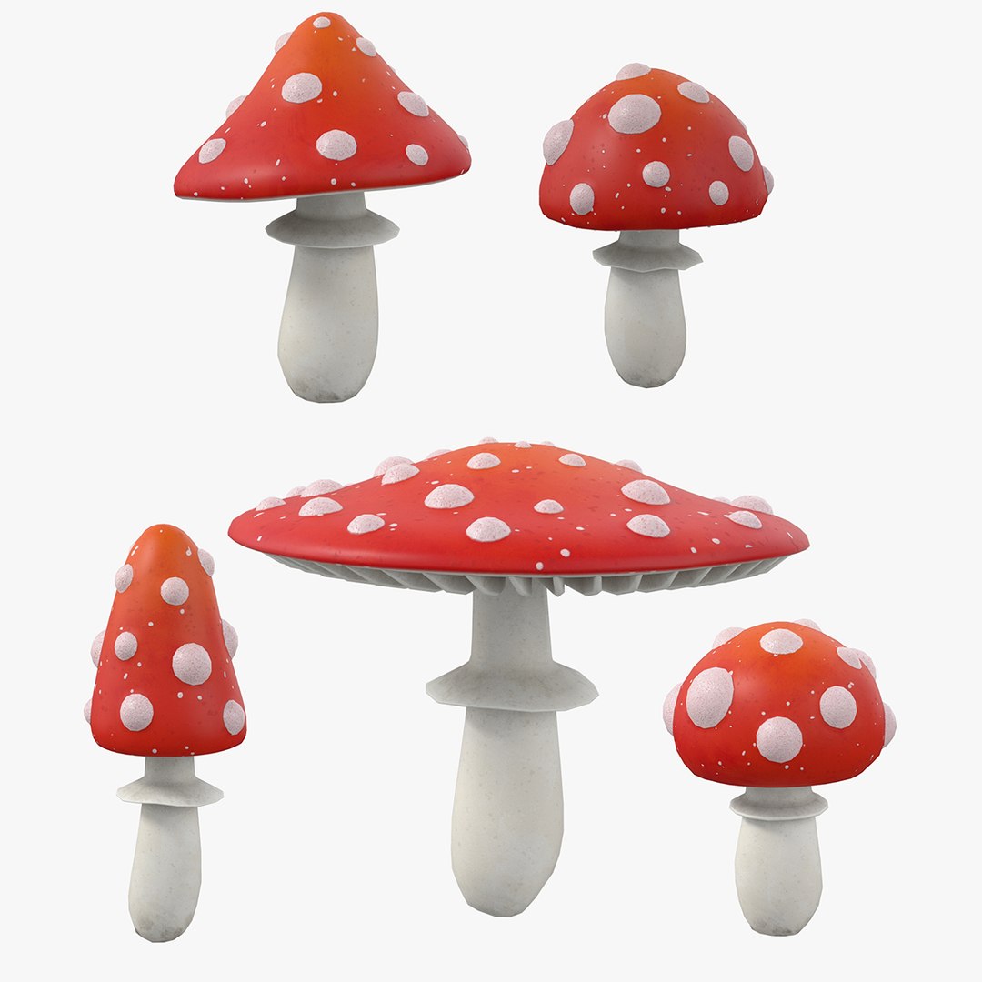 3D Cartoon Mushrooms Pack model https://p.turbosquid.com/ts-thumb/4l/2UBy67/zZ/mushroom_00_collection_01/jpg/1661533092/1920x1080/fit_q87/708a4cb7ae86d80f23666a2f419203d3959a3844/mushroom_00_collection_01.jpg