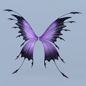 3D set fairy butterfly wings