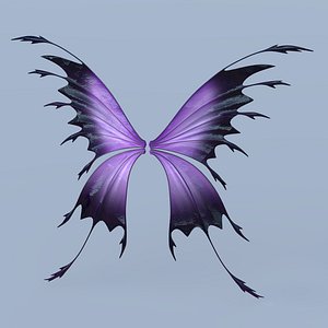 Fairy or Butterfly Wings Set C