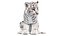 Animated White Tiger Cub 3D Model with Groomed Hair 3D