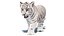 Animated White Tiger Cub 3D Model with Groomed Hair 3D