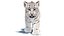 Animated White Tiger Cub 3D Model with Groomed Hair 3D