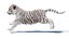 Animated White Tiger Cub 3D Model with Groomed Hair 3D